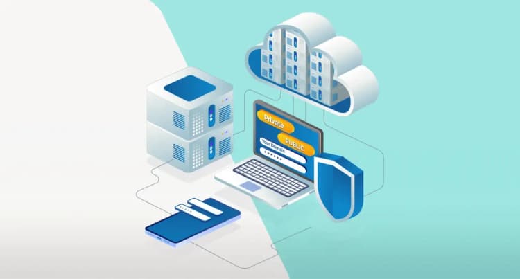 ما هو الفرق بين الدومين العام والخاص