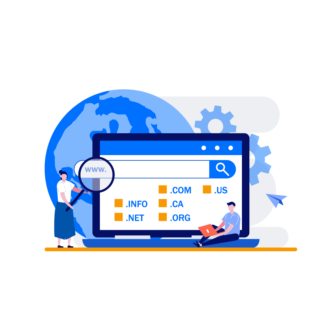 أهمية الدومين